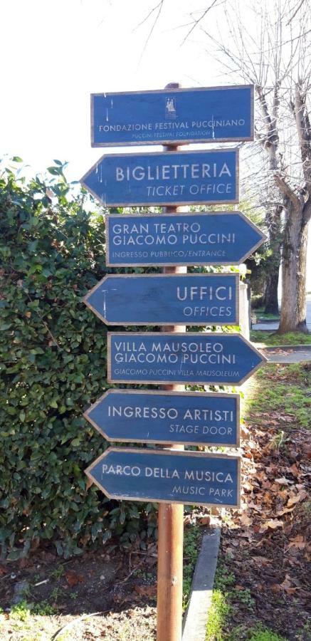 Melon'S House Villa Torre del Lago Puccini Exterior photo
